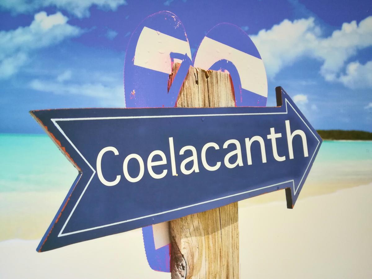 The Coelacanth Guest House And Beach Thyme Self Catering Kiddʼs Beach Kültér fotó