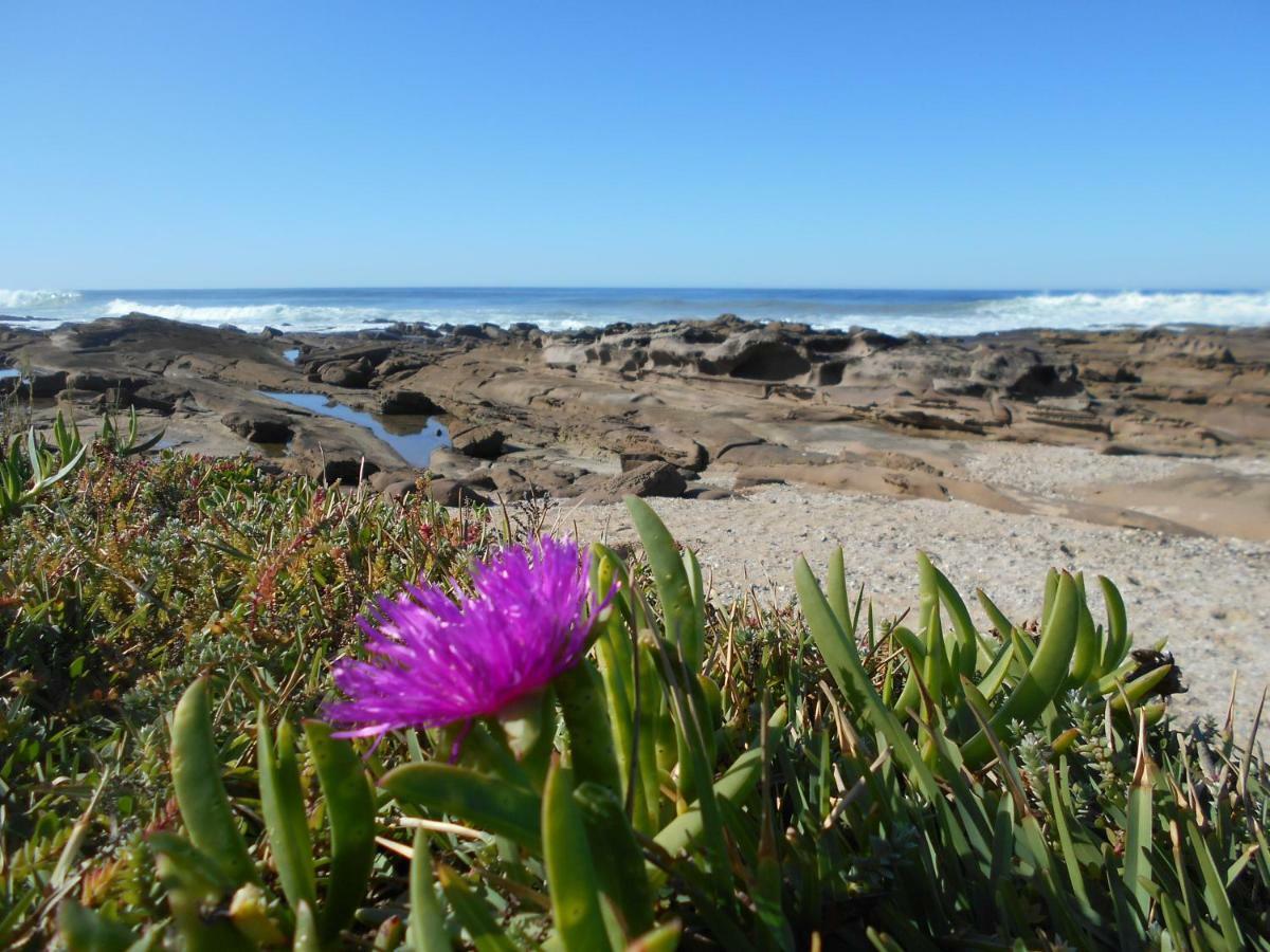 The Coelacanth Guest House And Beach Thyme Self Catering Kiddʼs Beach Kültér fotó